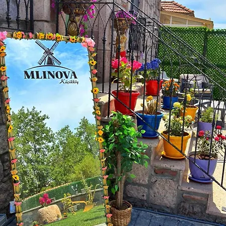 Mlinova Küçükköy Ayvalı